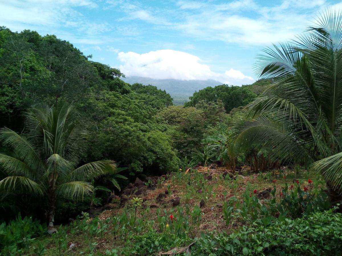 Eco-Lodge El Porvenir. Santa Cruz Eksteriør billede